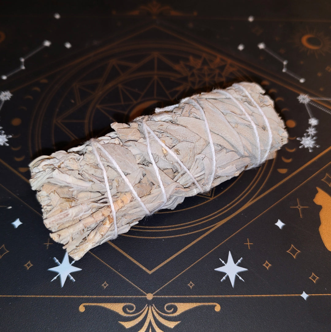 美國白鼠尾草 (散裝)(預訂)