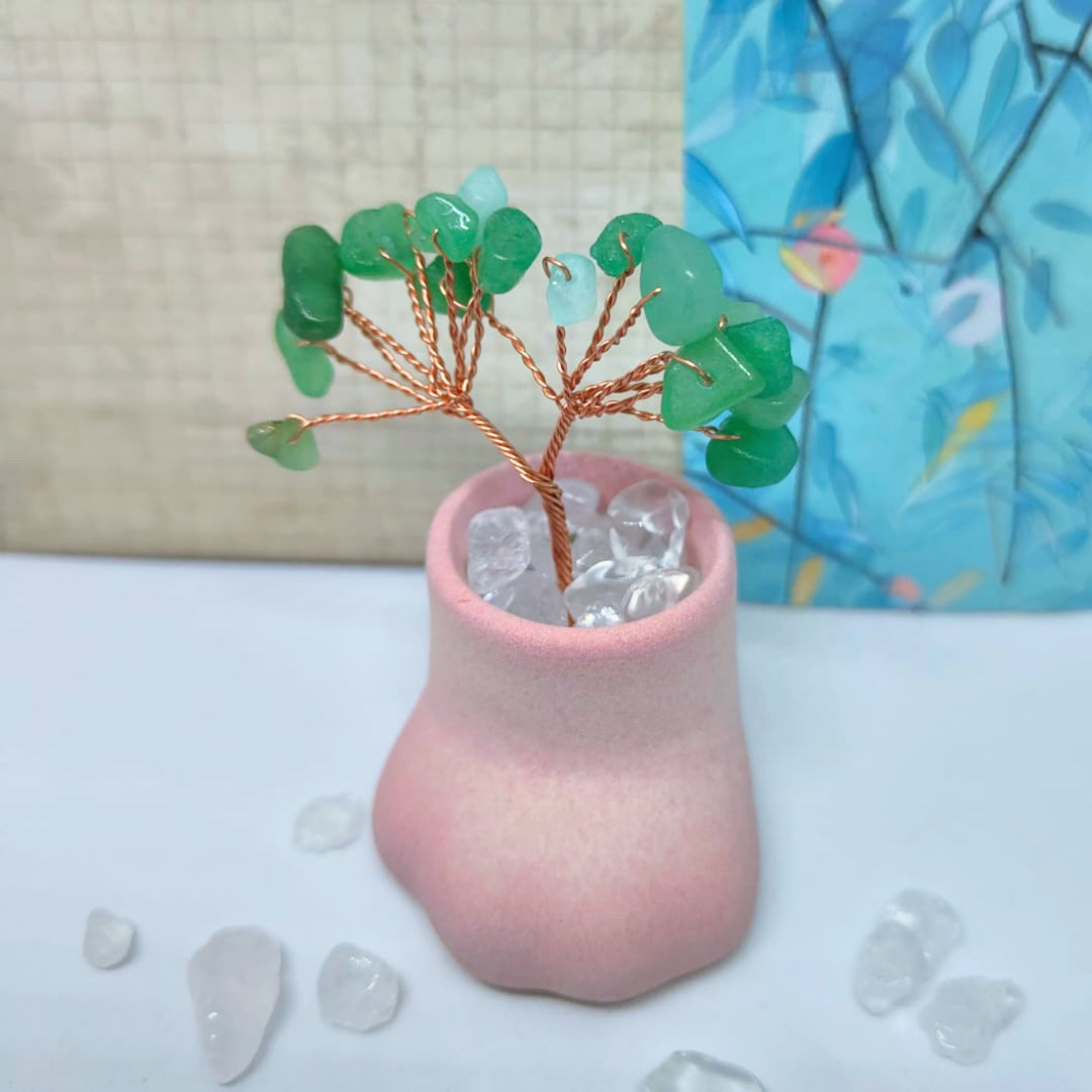 😺迷你小貓爪底座天然水晶發財樹套裝🌳