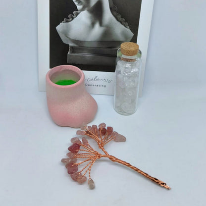 😺迷你小貓爪底座天然水晶發財樹套裝🌳