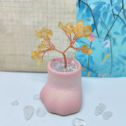 😺迷你小貓爪底座天然水晶發財樹套裝🌳