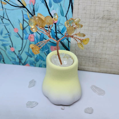 😺迷你小貓爪底座天然水晶發財樹套裝🌳