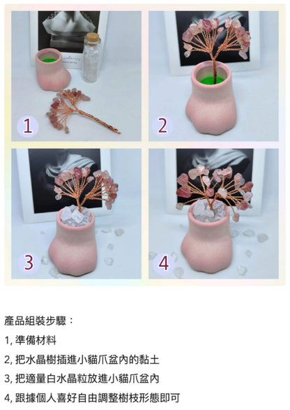 😺迷你小貓爪底座天然水晶發財樹套裝🌳